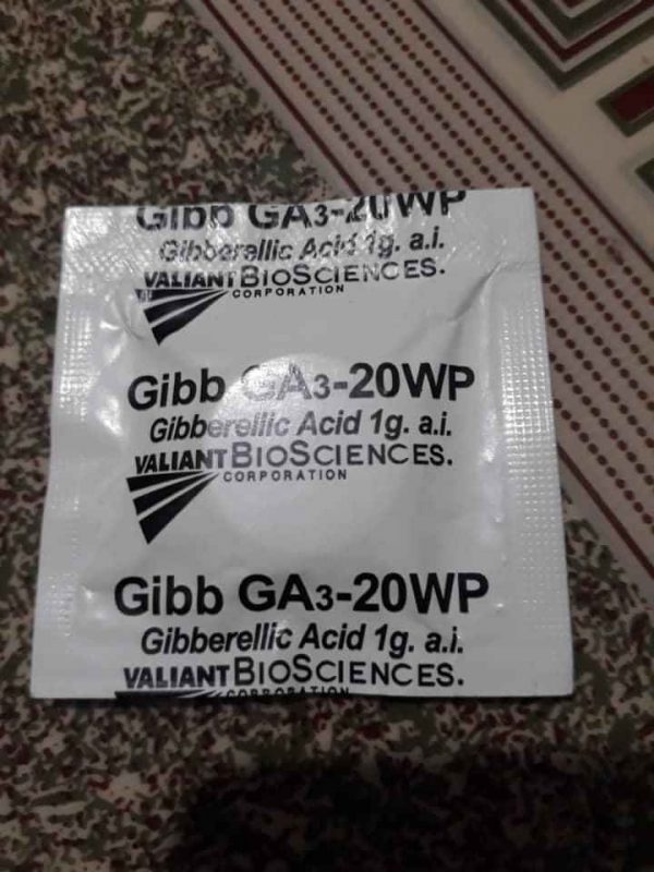 ga3-gibberellic-acid-dang-vien-sui-thuc-day-tang-truong