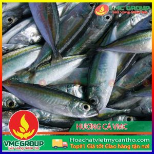 huong-ca-vmc