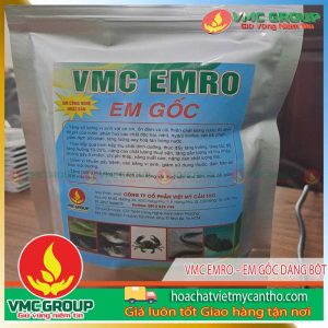 vmc-emro-dang-bot